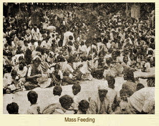 Mass Feeding