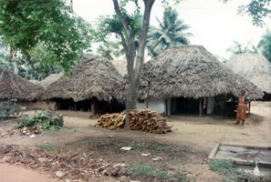 Adivarapupeta huts