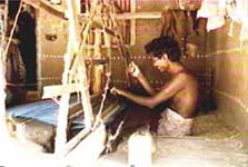 Adivarapupeta weavers